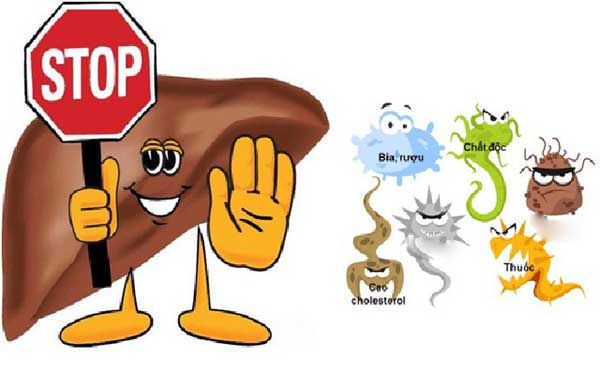 What is fatty liver? Is fatty liver disease dangerous? Picture 3