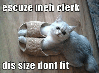 What is meme? And some popular meme now Picture 2