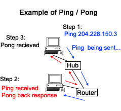 What is PING? How is PING Test? Picture 2