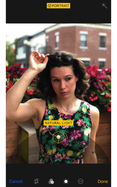 What is Portrait Mode? What is Portrait Lighting? Picture 2