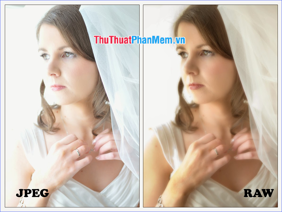 What is raw? What is the Raw image file? Picture 3