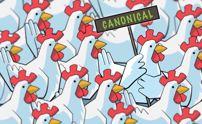 What is Rel = canonical in SEO? Picture 2