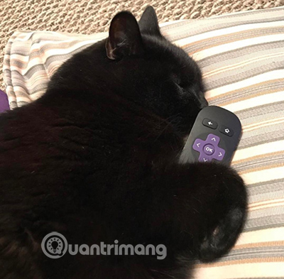 What is Roku? How does Roku work? Picture 3