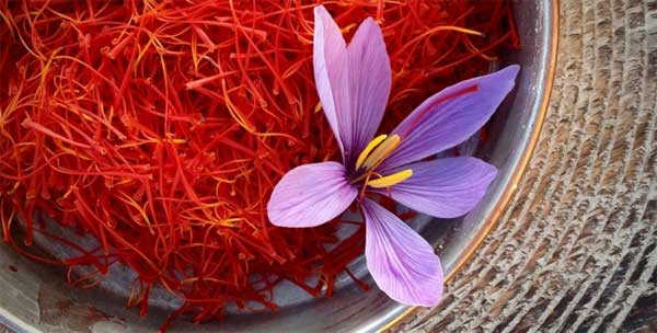 What is saffron? How does saffron work? Picture 5