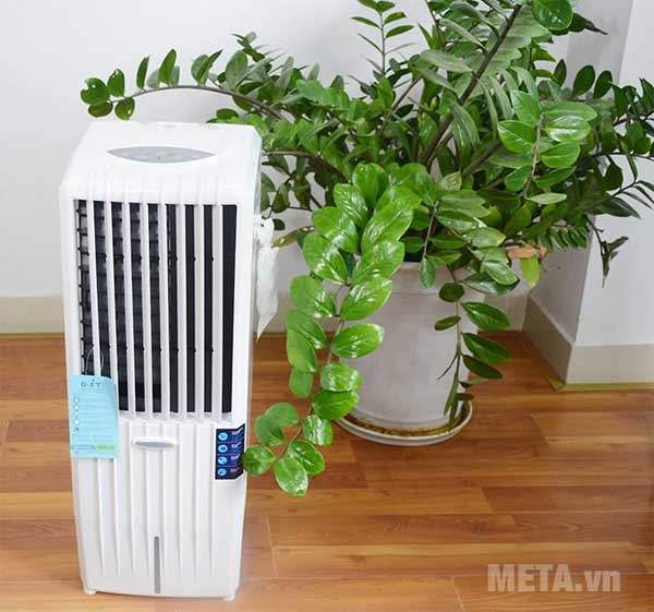 What is stone fan? Should I use a fan? Picture 4