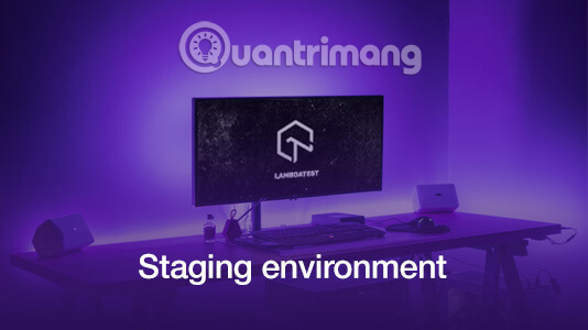 What is the staging environment? Picture 2