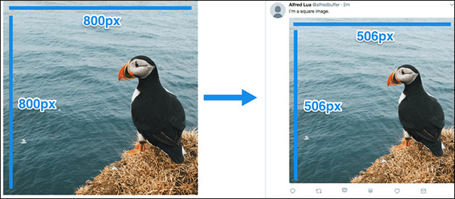 What is the standard Twitter image size? Picture 3