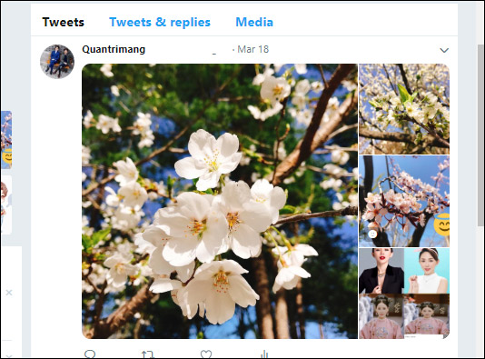 What is the standard Twitter image size? Picture 5