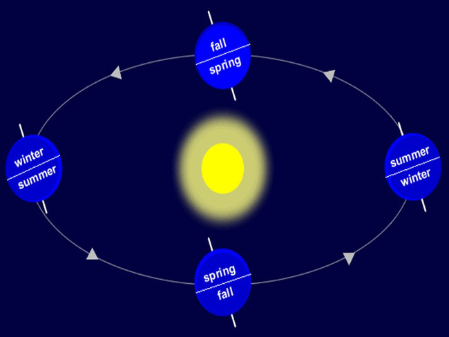 What makes the seasons of the year? Picture 2