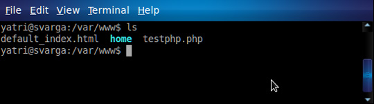 What to back up on a Linux Home Server system? Picture 7