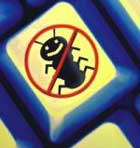 What to do before Vietnamese virus problem? Picture 2