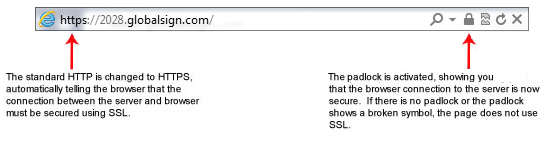 What types of SSL Certificates are there? Picture 3