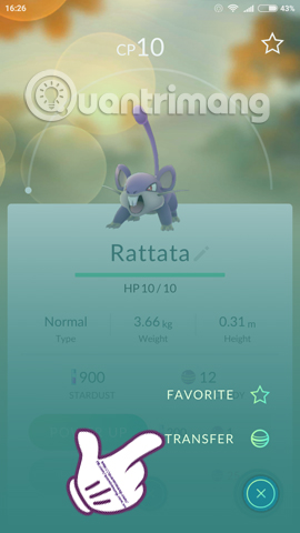 What will you do when there are multiple Pokemon in Pokemon GO? Picture 5