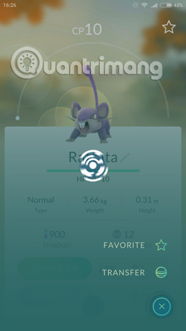 What will you do when there are multiple Pokemon in Pokemon GO? Picture 7