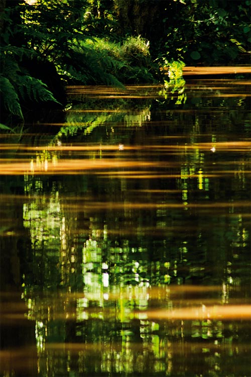 When should not use auto focus mode to take photos? Picture 3