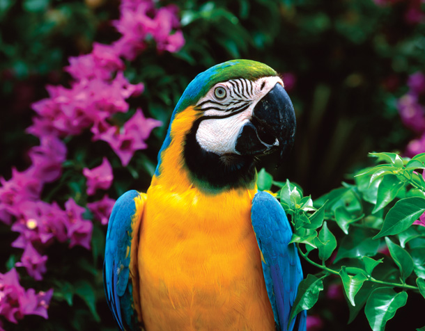 When should not use auto focus mode to take photos? Picture 4