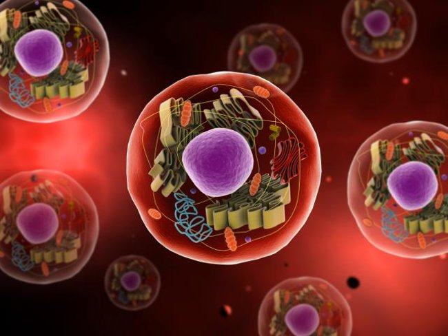 Where did all the origins come from? Picture 3