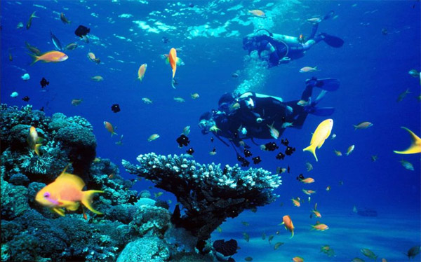 Where is the Maldives? Traveling Maldives the most beautiful time? Picture 10