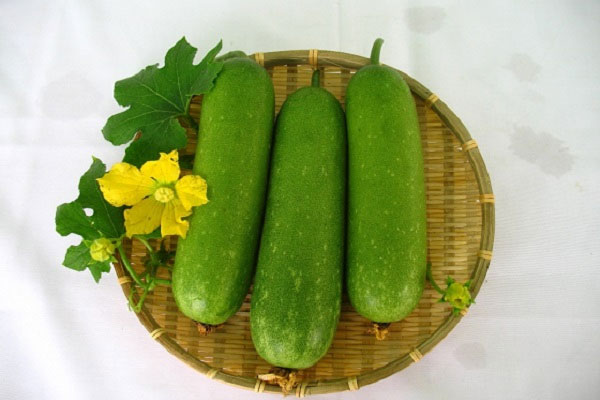 Which foods are most folic acid? Picture 10