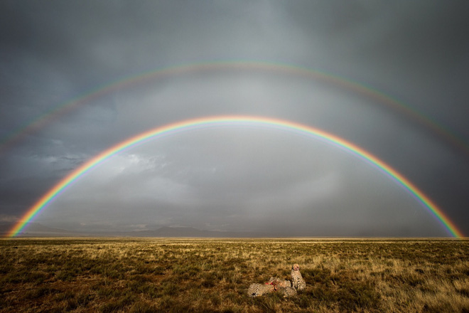 White rainbow, glowing sky, thunder storm and the most bizarre weather phenomena in the past year! Picture 20