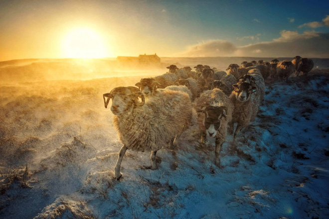 White rainbow, glowing sky, thunder storm and the most bizarre weather phenomena in the past year! Picture 9