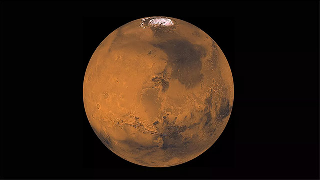 Why are microorganisms living 'so tough' on Earth but still hard to survive on Mars Picture 1