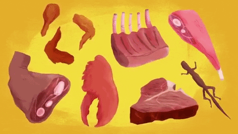 Picture 8 of Why are our teeth deep?