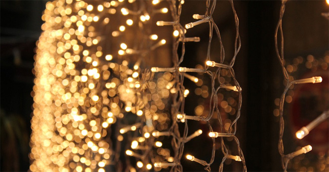 Why choose a 50mm lens for newbies? Picture 5