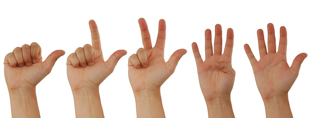 Why do human hands have 5 fingers? Picture 1