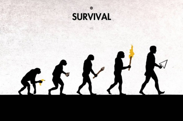 Why do human thumbs only have 2 burns? Picture 2