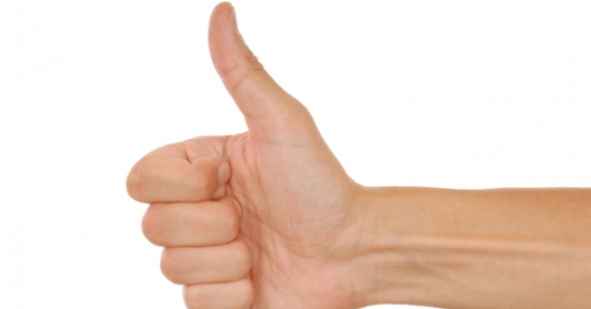 Why do human thumbs only have 2 burns? Picture 3