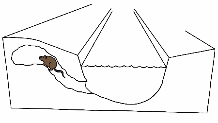 Why do rivers never flow in a straight line but like to twist? Picture 2