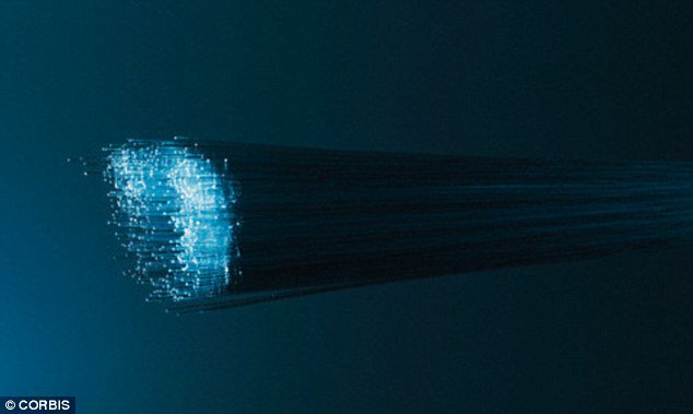 Why do sharks like to bite sea cable? Picture 2