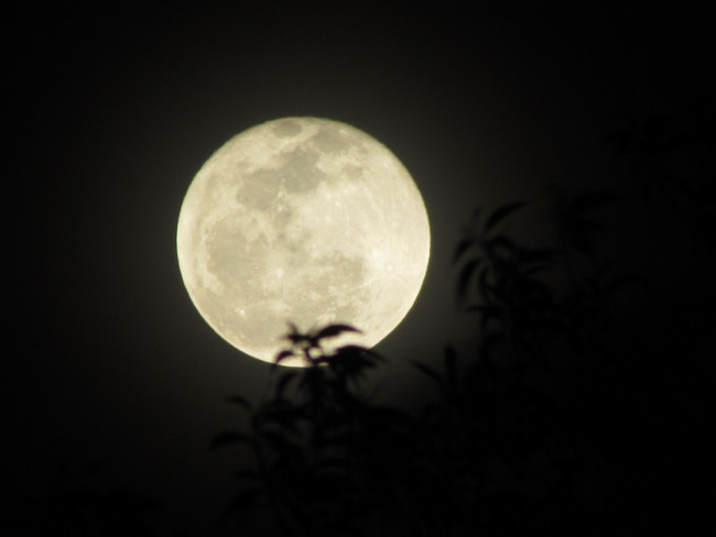 Why is the moon glowing? Picture 1