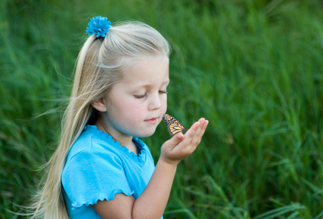 Why the bigger we see, the faster time passes? Picture 2