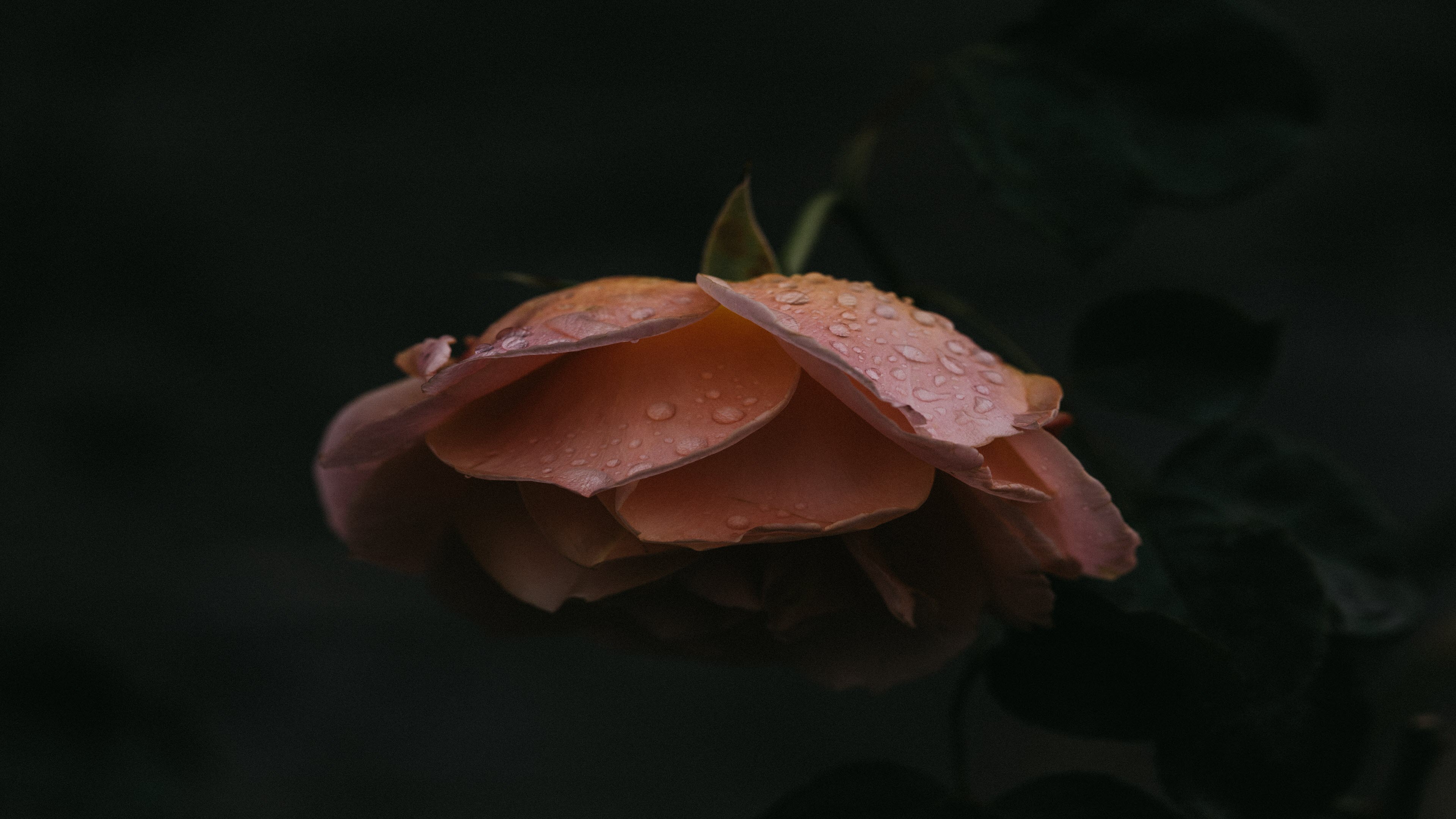 Win 10 wallpaper images, the best Windows 10 wallpaper Picture 4