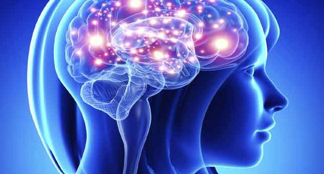 Women have brains that are more powerful than men Picture 1