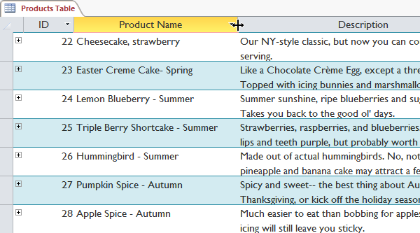 Work with data in Access 2016 Picture 15