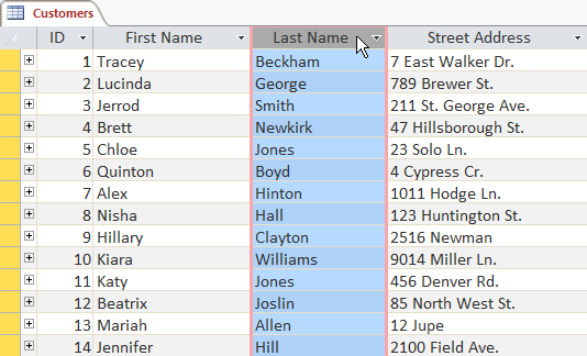 Work with data in Access 2016 Picture 26