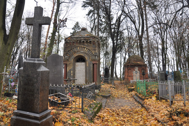 Worlds of 'no dead' places in the world Picture 2