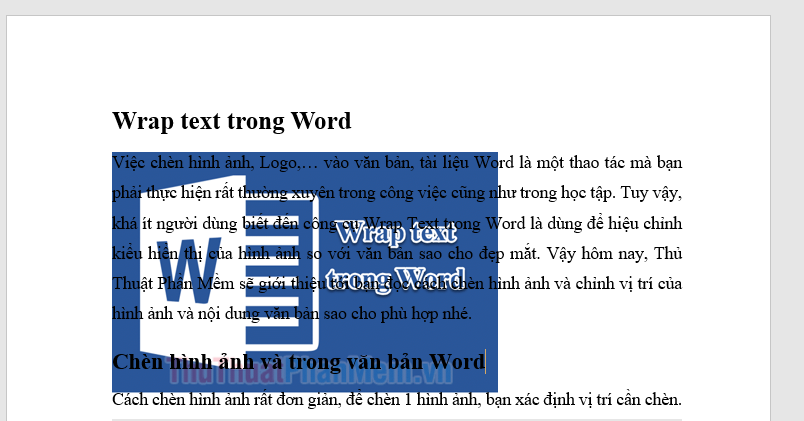 Wrap text in Word Picture 11