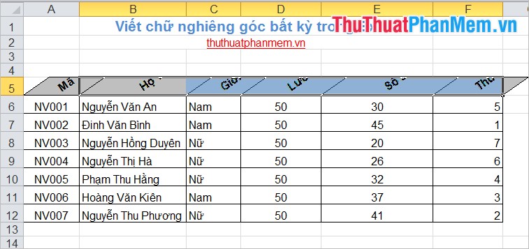 Write italic, vertical, and diagonal lines in Excel Picture 6