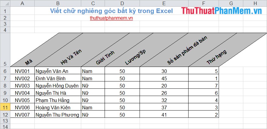 Write italic, vertical, and diagonal lines in Excel Picture 7