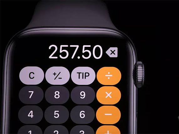 WWDC 2019: watchOS 6 officially launched with many notable improvements Picture 3