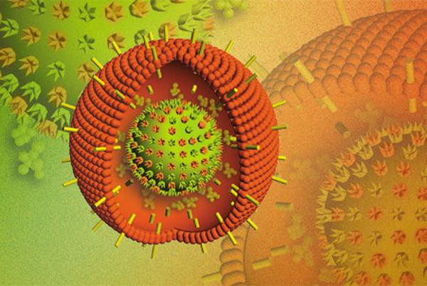 You may not know: Fermented foods contain bacteria prebiotics to help improve sleep Picture 2