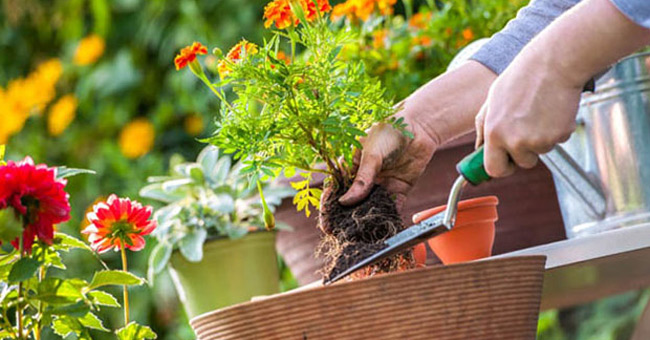 You want an 8-zone body? No need to go to the practice room! Picture 5