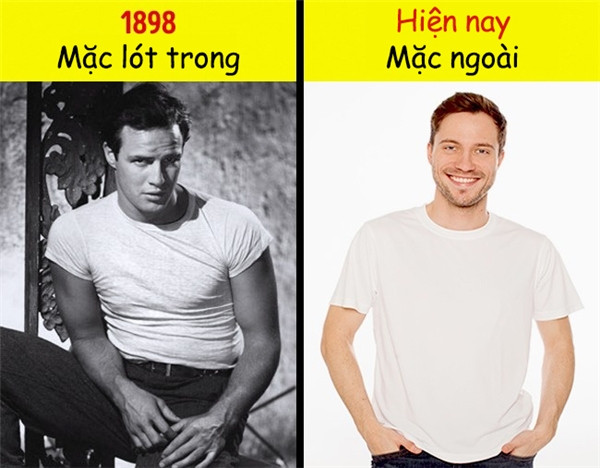 You will be surprised to know the uses of these very ordinary things Picture 6