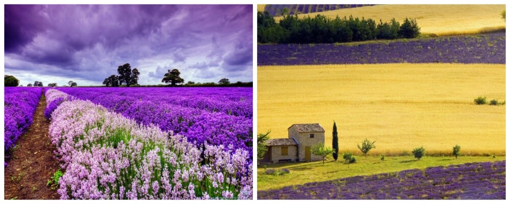 You will want to come to these 30 great locations before being invisible to the mirror Picture 31