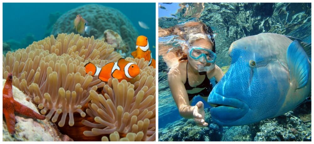 You will want to come to these 30 great locations before being invisible to the mirror Picture 48