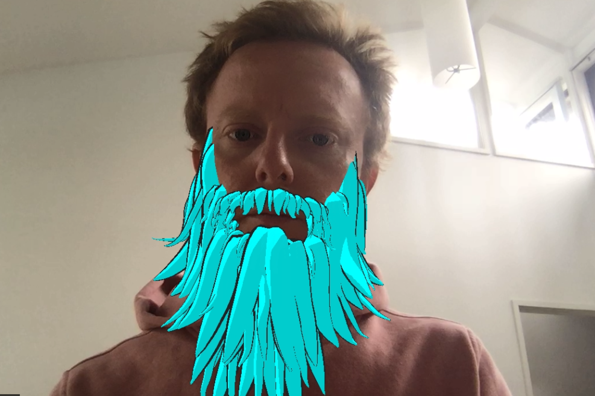 Zoom: Free video chat filters can give you a long beard, devil horns or an egg for a head Picture 8